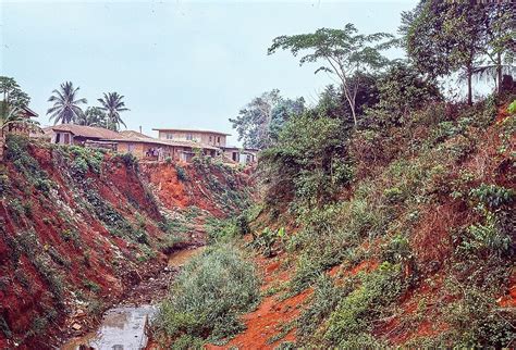 the great benin moat.